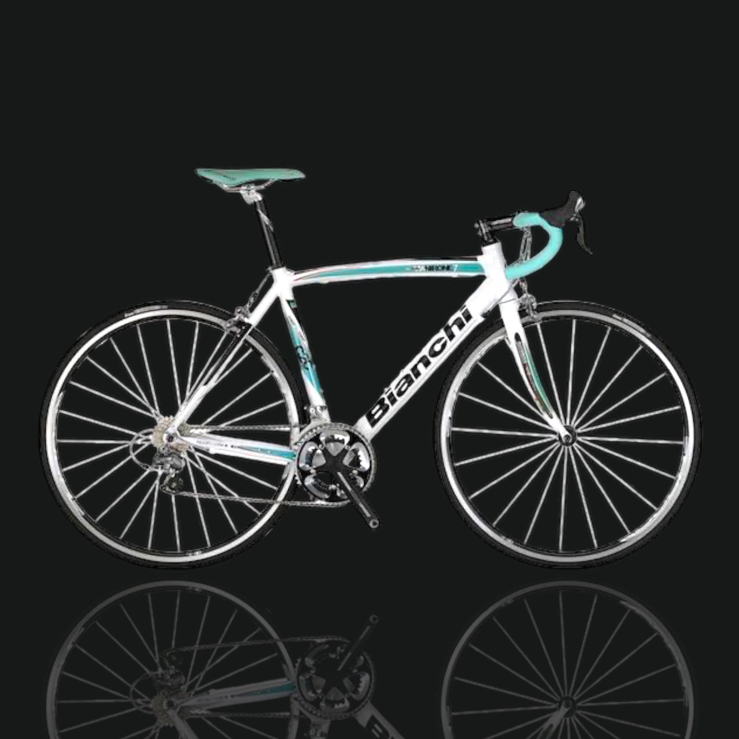 BICICLETTA A NOLEGGIO