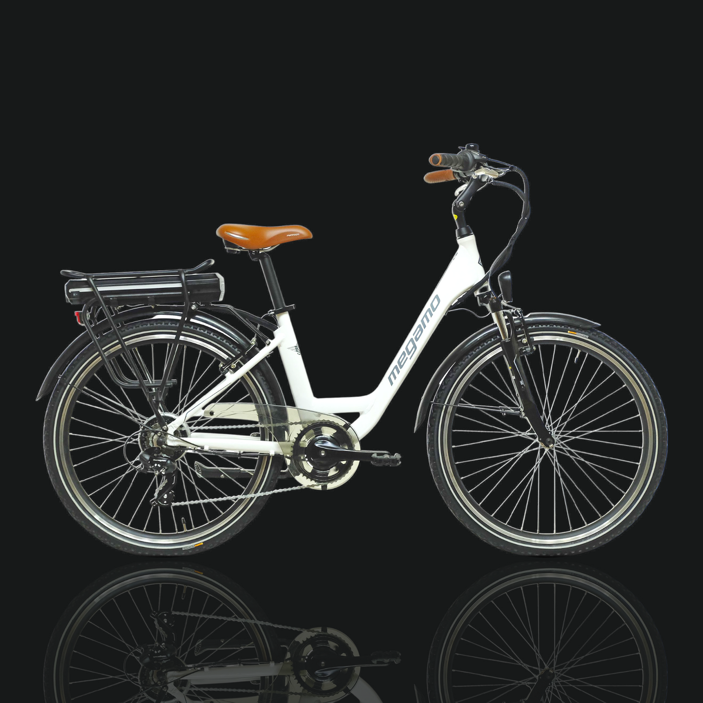 BICICLETTA A NOLEGGIO