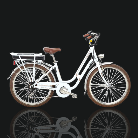 BICICLETTA WORLD DIMENSION ROSE GRIGIO NUVOLA